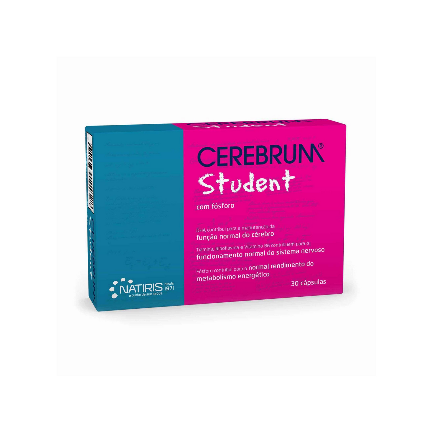 CEREBRUM Student